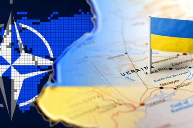 Almaniya və Fransa Ukraynanı NATO-ya buraxmayacaq Almaniya və Fransa Ukraynanı NATO-ya buraxmayacaq