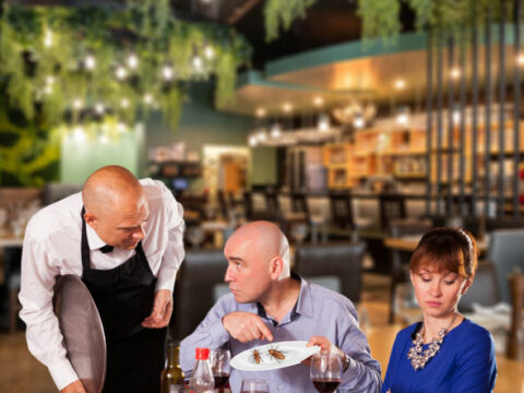 Restoranlarda həşərat və gəmirici problemi: Nə etməli?