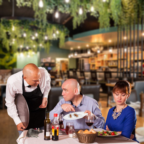 Restoranlarda həşərat və gəmirici problemi: Nə etməli? Restoranlarda həşərat və gəmirici problemi: Nə etməli?