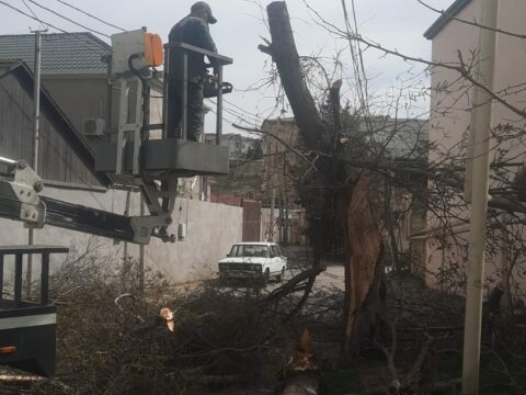Külək paytaxta belə zərər verdi-20dən çox ağac, 30-dan çox… FOTOLAR