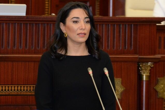 Ombudsman beynəlxalq ictimaiyyətə müraciət etdi