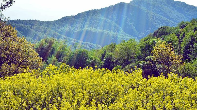 Avqustun ilk günlərinin hava proqnozu – Hava sərin olacaq