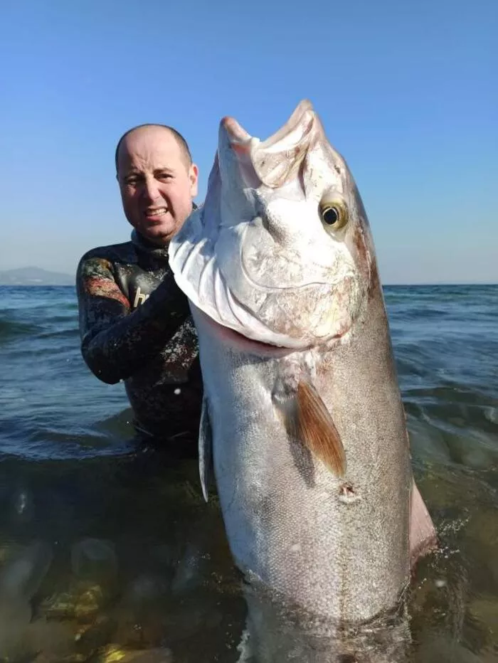Zırkınla 55 kiloluq  balıq tutdu