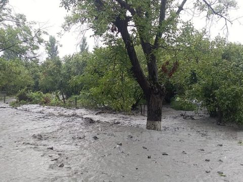 Zaqatalada sel əkin sahələrinə xeyli ziyan vurub
