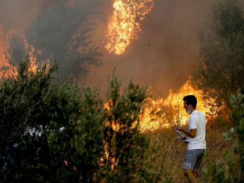 Türkiyədə meşə yanğınlarında 19 nəfər xəsarət alıb