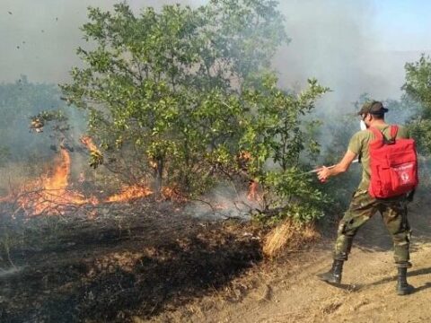 Masallıda dağlıq ərazidə baş vermiş yanğın söndürülüb