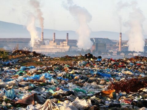 Ermənistanda ekoloji fəlakət heyvanları kütləvi şəkildə məhv edir  
