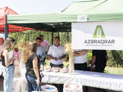 Ağcabədidə toxum sərgi-satış yarmarkası keçirilib