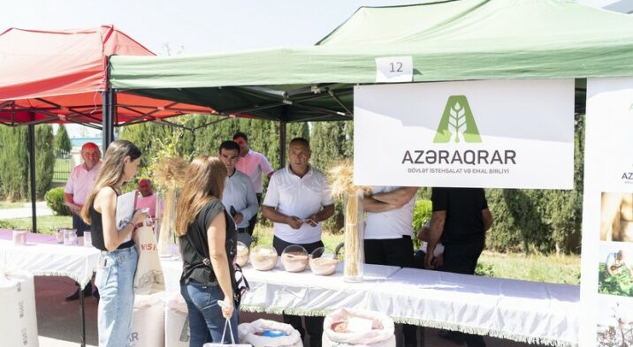 Ağcabədidə toxum sərgi-satış yarmarkası keçirilib