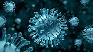 Son günlər əhali arasında hansı virus yayılıb?