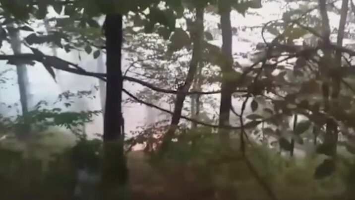 Zaqatalada meşə yanğını nəzarətə alındı 