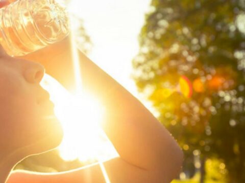Azərbaycanda havanın temperaturu 43 dərəcəyə çatıb