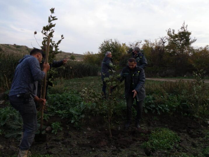 Vətən müharibəsindən sonrakı mübarizə, yaxud Azərbaycandan dünyanı dəyişdirəcək “yaşıl strategiya”