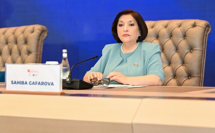 Sahibə Qafarova qadın parlament sədrlərini minalarla bağlı məsələyə diqqət yetirməyə çağırıb