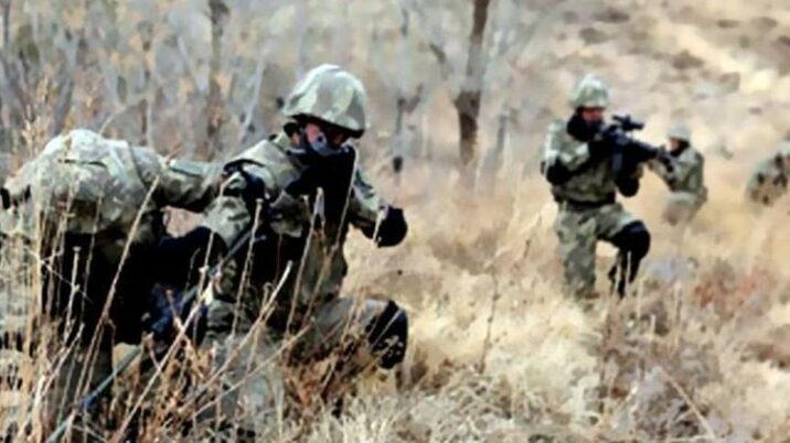 Türkiyə İraqda iki şəhid verdi