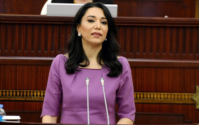 Ombudsman sərhəddəki vəziyyətlə bağlı bəyanat verdi