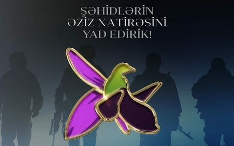 “Rəşadətli ordumuz təkcə vandal ermənilərə qarşı deyil, onu himayə edən bütün güclərə qarşı savaşda qalib çıxdı”