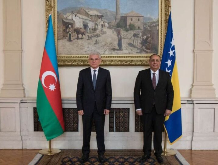 Vilayət Quliyev etimadnaməsini Prezidentə təqdim etdi
