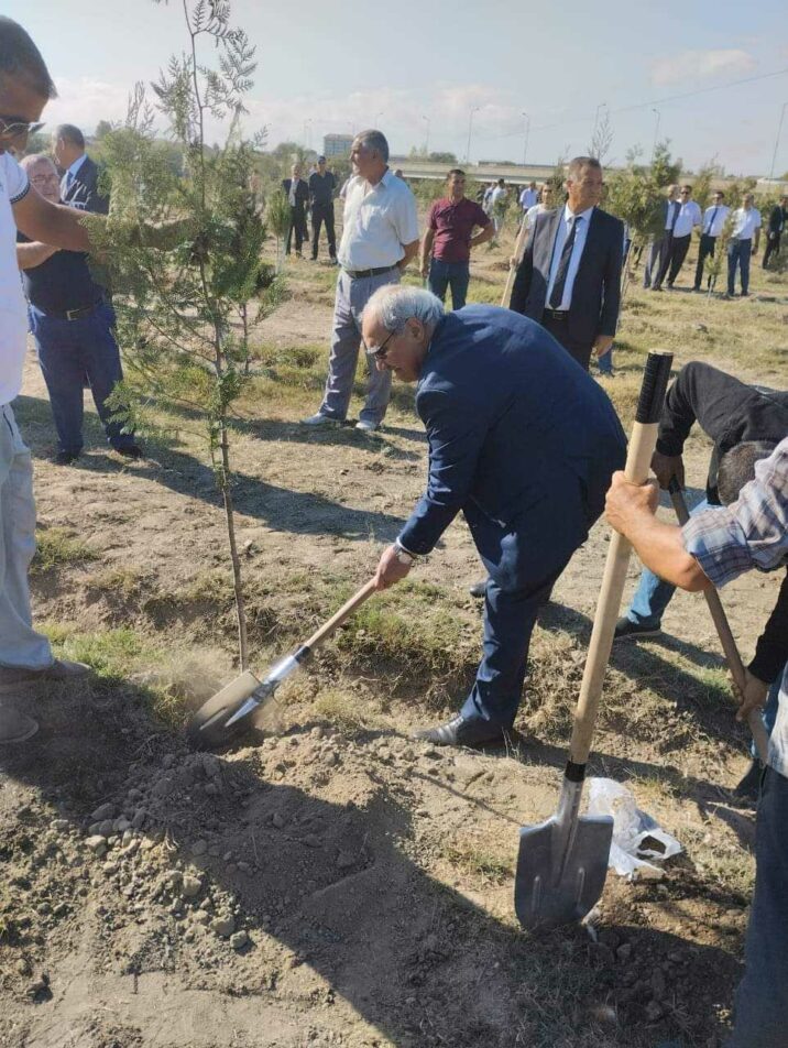 Millət vəkili Anım günü münasibətilə Salyanda ağacəkmə kampaniyasına qatıldı