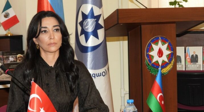 Ombudsman Ermənistanın Kəlbəcərdə növbəti təxribat cəhdini pisləyib
