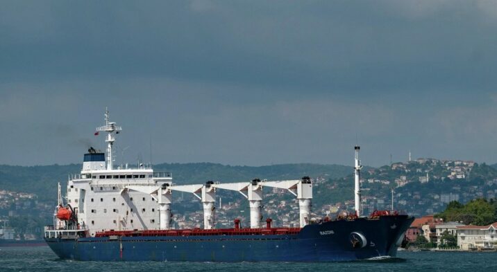 Ukrayna limanından ərzaqla dolu daha bir gəmi yola düşüb
