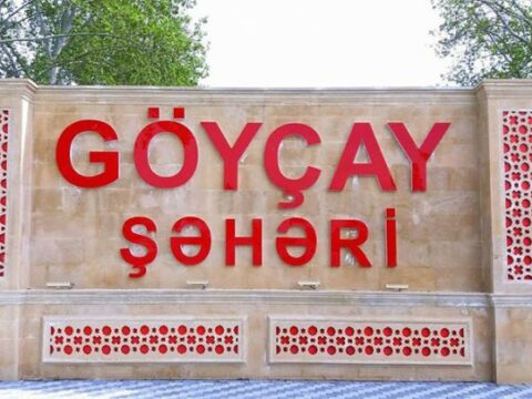 Göyçayda 14 yaşlı qız kimyəvi maddəni sərinləşdirici içki əvəzinə qəbul edib, nəticədə ölüb