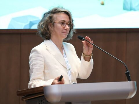 İsveçrə şirkəti Zəngilan, Kəlbəcər və Qubadlı şəhərlərinin Baş planları üzərində işləyir