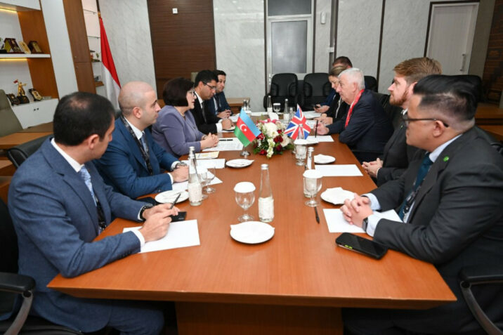 Sahibə Qafarova Britaniya İcmalar Palatasının sədri ilə görüşdü