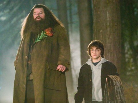 “Harri Potter” filminin aktyoru vəfat etdi 