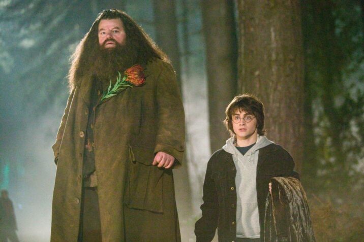 “Harri Potter” filminin aktyoru vəfat etdi 