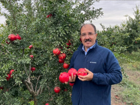 Türkiyəli diplomat Azərbaycan narından yazdı