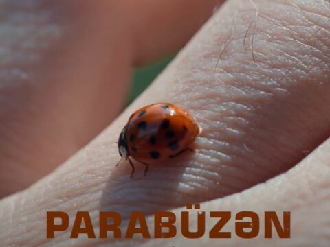 “Parabüzən” sənədli filmi – TAM VERSİYA