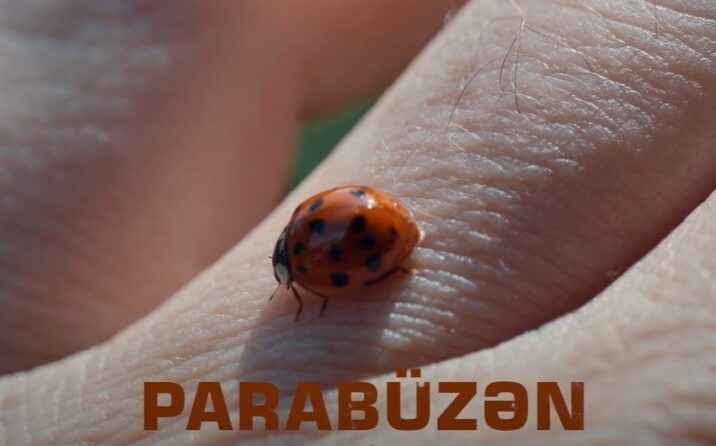 “Parabüzən” sənədli filmi – TAM VERSİYA