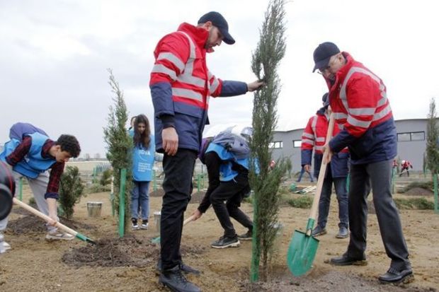 Bütün regionlarda genişmiqyaslı ağacəkmə tədbirləri davam edir