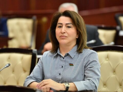 “Uşaqların yaşına uyğun formada cinsi tərbiyə artırılmalıdır”