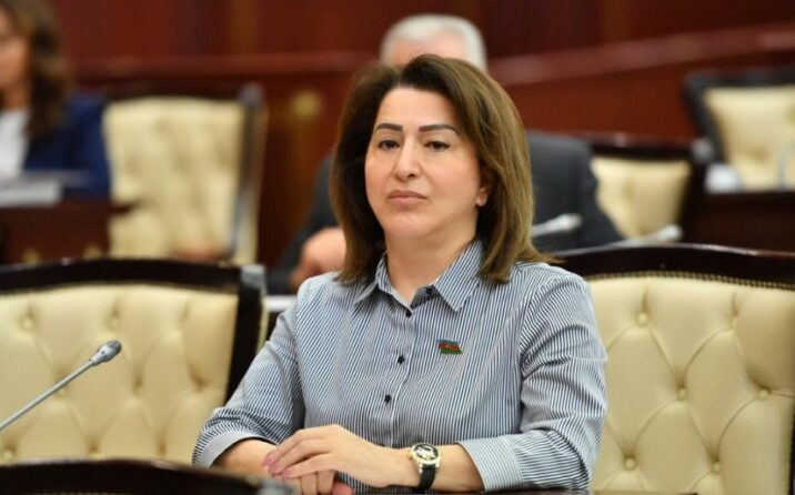 “Uşaqların yaşına uyğun formada cinsi tərbiyə artırılmalıdır”