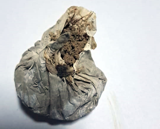 Gömrükçülər nəqliyyat vasitəsində narkotik vasitə – heroin aşkarladı