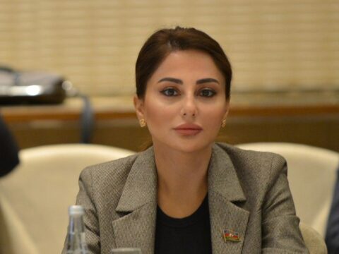 Zəfər Günümüz – Deputat yazır