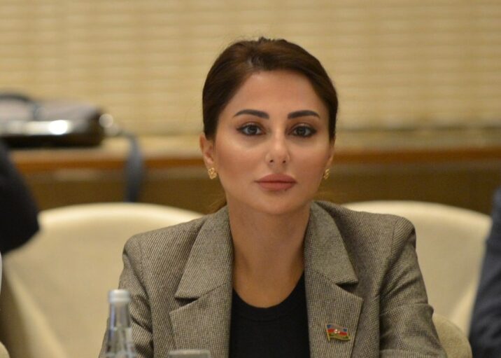 Zəfər Günümüz – Deputat yazır
