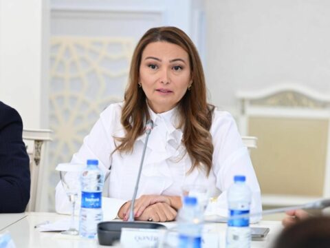 Qənirə Paşayeva Milli Məclisin beş komitəsinin birgə iclasında çıxış edib
