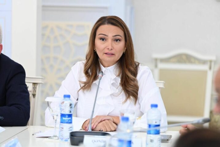 Qənirə Paşayeva Milli Məclisin beş komitəsinin birgə iclasında çıxış edib