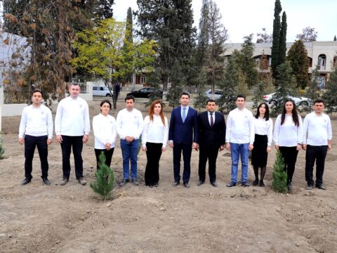 Naftalanda YAP agacəkmə aksiyası keçirib