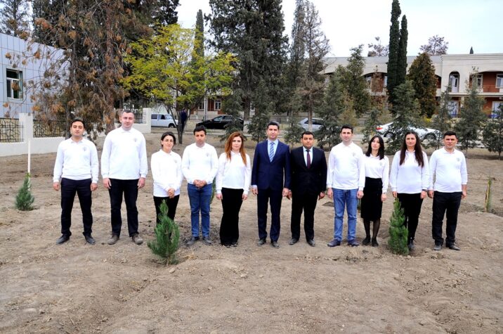 Naftalanda YAP agacəkmə aksiyası keçirib