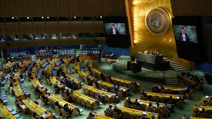 Türkiyə dəstəklədi, Azərbaycan səs vermədi 