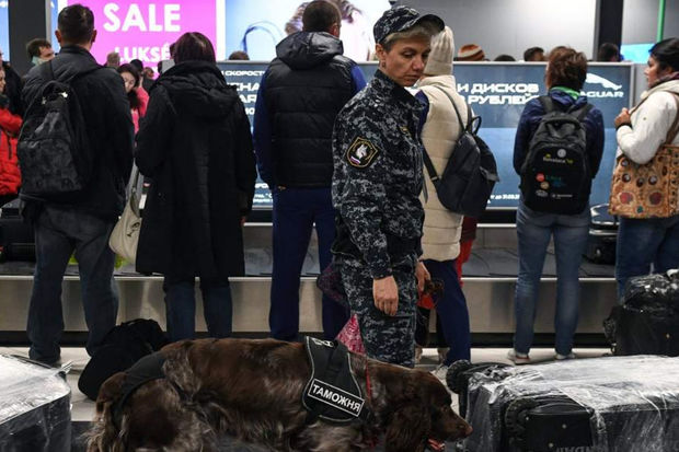 Moskva hava limanlarında maksimum terror təhlükəsi elan edildi