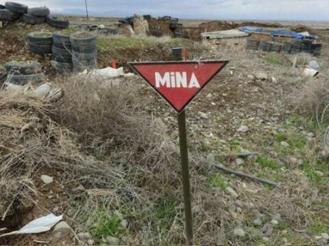Ermənilərin basdırdığı minaları siçovullar aşkarlayacaq