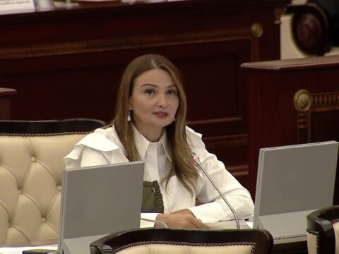 Qənirə Paşayeva MM-də büdcə müzakirələri zamanı bir sıra vacib təkliflərlə çıxış edib