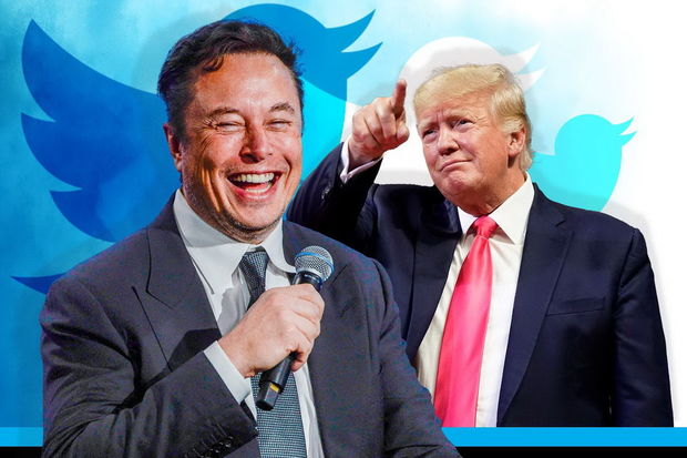 Mask Tramp üçün “Twitter”də səs toplamağa başladı