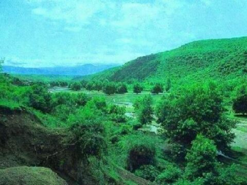 Bəsitçay Qoruğunun Əsasnaməsi təsdiqləndi