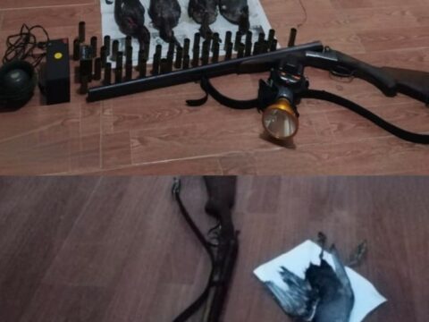 Qanunsuz ov edənlər saxlanıldı
